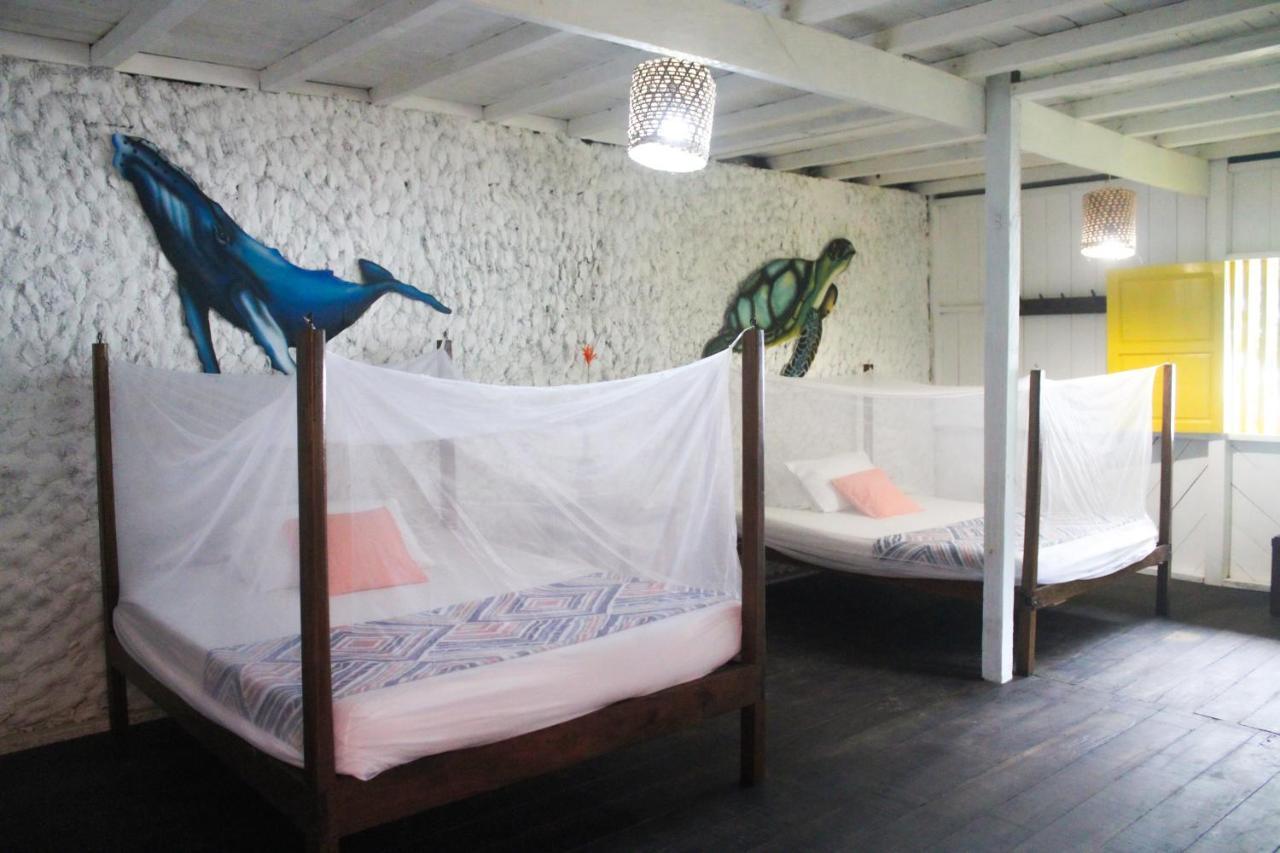 فندق Refugio Mr Jerry Eco House باهيا سولانو المظهر الخارجي الصورة